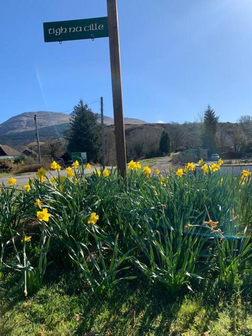 Tigh Na Cille Studio, Taynuilt Exteriér fotografie