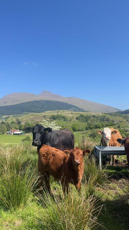 Tigh Na Cille Studio, Taynuilt Exteriér fotografie